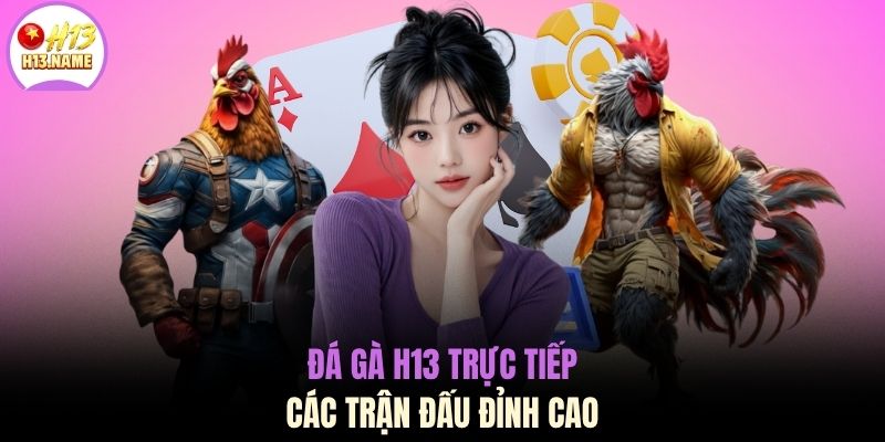 Đá gà H13 trực tiếp các trận đấu đỉnh cao
